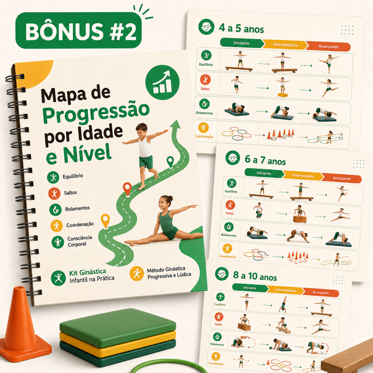 Mapa de Progressão por Idade e Nível